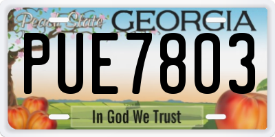 GA license plate PUE7803