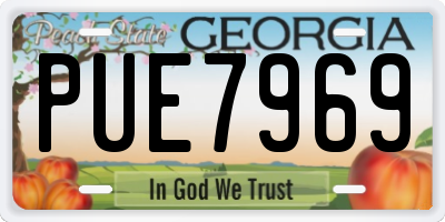 GA license plate PUE7969