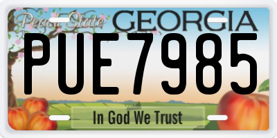 GA license plate PUE7985