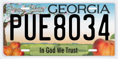 GA license plate PUE8034