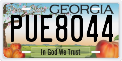 GA license plate PUE8044
