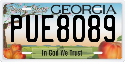 GA license plate PUE8089
