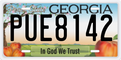 GA license plate PUE8142
