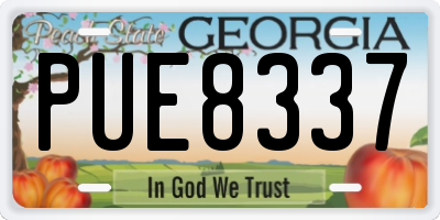 GA license plate PUE8337