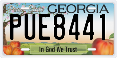 GA license plate PUE8441