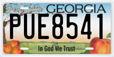 GA license plate PUE8541