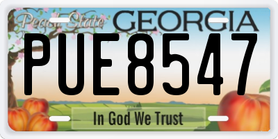 GA license plate PUE8547
