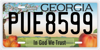 GA license plate PUE8599