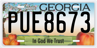 GA license plate PUE8673