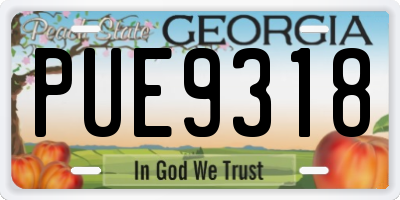 GA license plate PUE9318