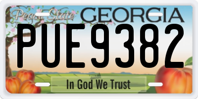 GA license plate PUE9382