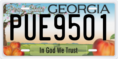 GA license plate PUE9501