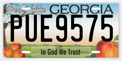 GA license plate PUE9575