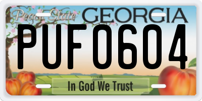 GA license plate PUF0604