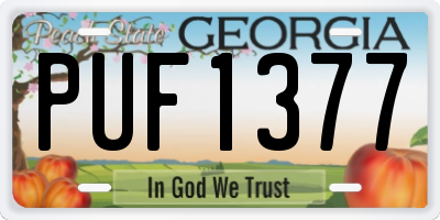 GA license plate PUF1377