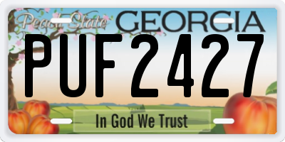 GA license plate PUF2427