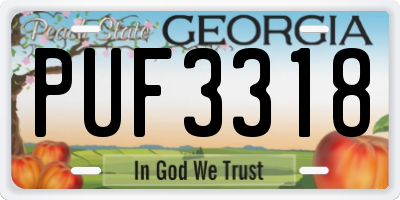 GA license plate PUF3318