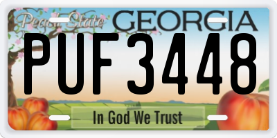 GA license plate PUF3448