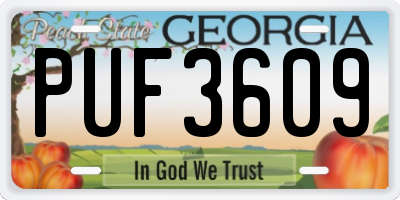 GA license plate PUF3609