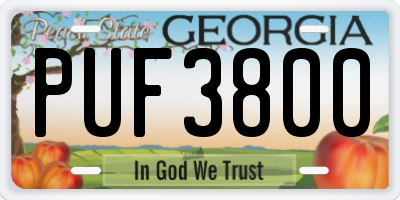 GA license plate PUF3800
