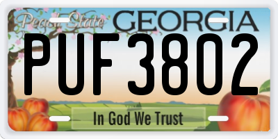 GA license plate PUF3802