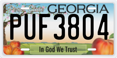 GA license plate PUF3804