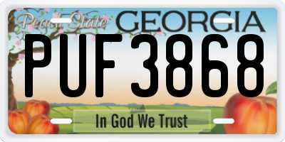 GA license plate PUF3868