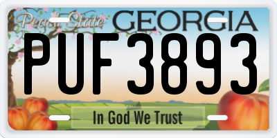 GA license plate PUF3893