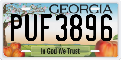 GA license plate PUF3896