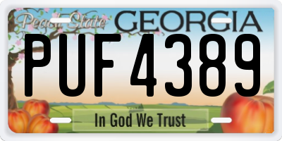 GA license plate PUF4389