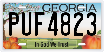 GA license plate PUF4823