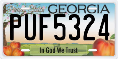 GA license plate PUF5324