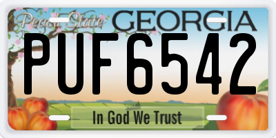 GA license plate PUF6542