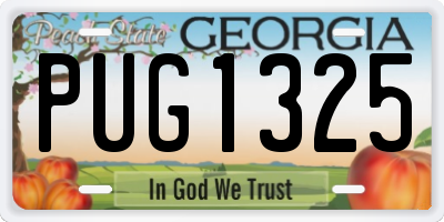 GA license plate PUG1325