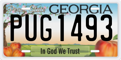 GA license plate PUG1493