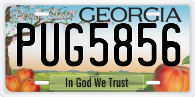 GA license plate PUG5856