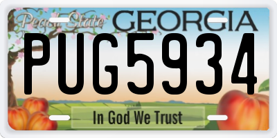 GA license plate PUG5934