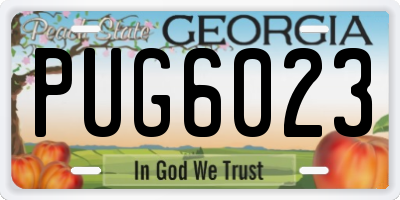 GA license plate PUG6023