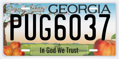 GA license plate PUG6037