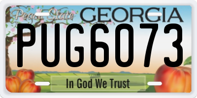 GA license plate PUG6073