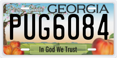 GA license plate PUG6084