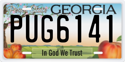 GA license plate PUG6141