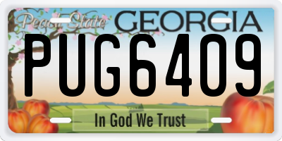 GA license plate PUG6409