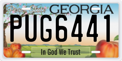 GA license plate PUG6441
