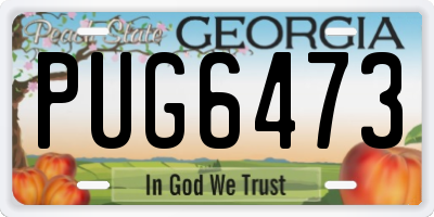 GA license plate PUG6473