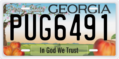 GA license plate PUG6491