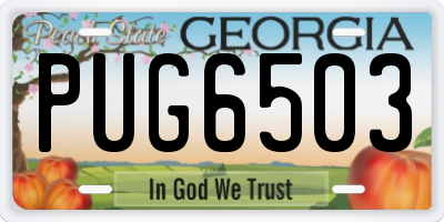 GA license plate PUG6503