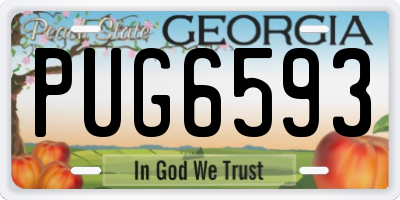 GA license plate PUG6593