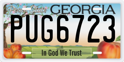 GA license plate PUG6723