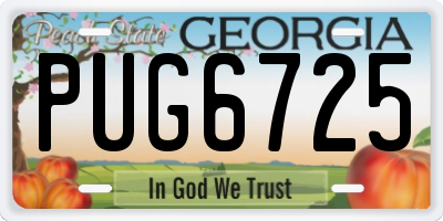 GA license plate PUG6725